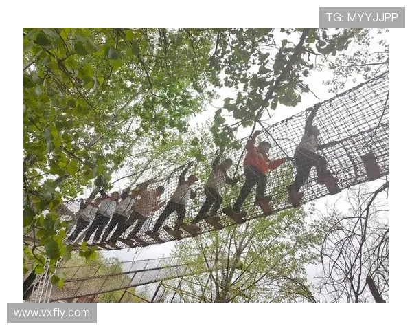 杭州攀岩队的精神风貌与团队意识探讨之旅