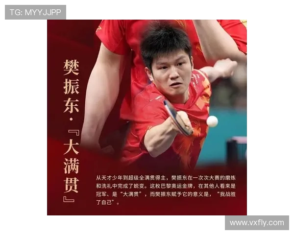 杭州乒乓球队在奥运会上的卓越表现与团队力量的深度解析